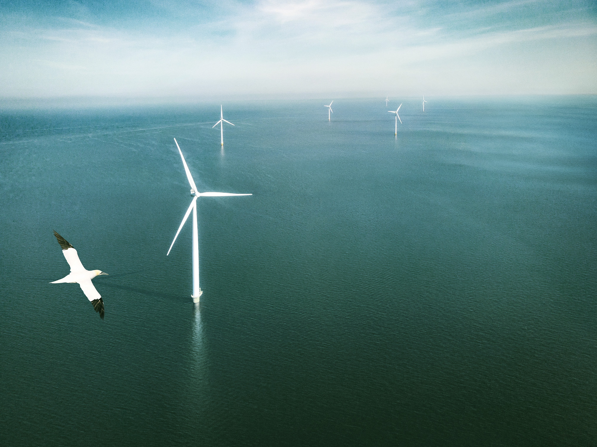 Ecowende bundelt krachten met Van Oord voor de bouw van het meest